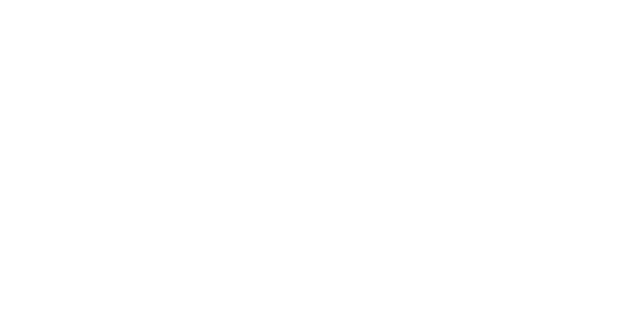 The Visa Services